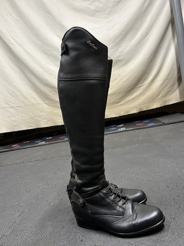Sergio grasso evolution - evolution, tall