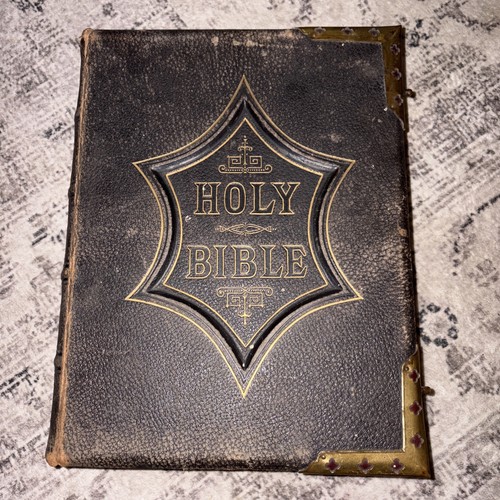 Holy bible illustrated - holy,