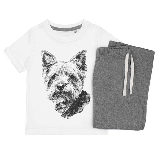 Yorkshire terrier portrait - 'yorkshire, portrait'