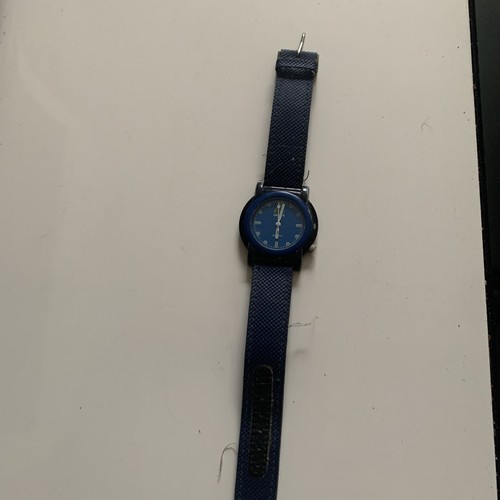 Lacoste watch mens - lacoste,