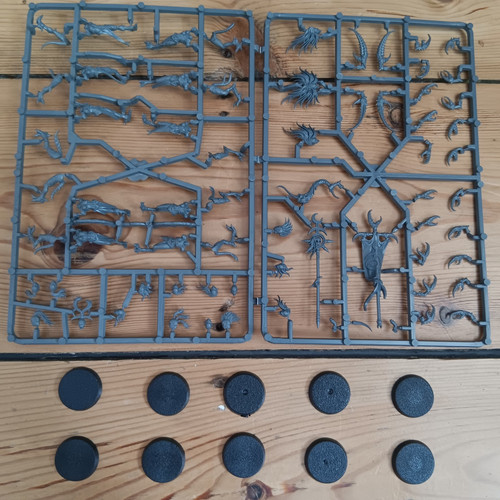 X10 daemonettes slaanesh on - slaanesh,