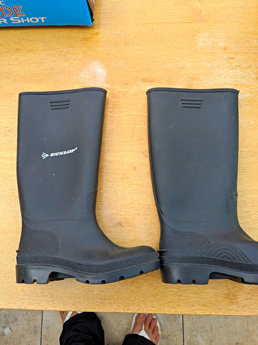Dunlop black rubber wellington - black,