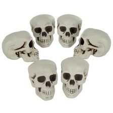 6 Pack Skulls 4" Plastic Halloween Party Decorations Graveyard Display Prop