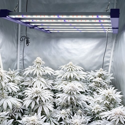Spider 4000w most - most, efficient