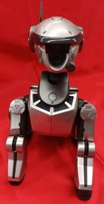 Autonomous Entertainment Robot