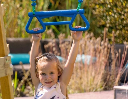 Jungle gym monkey - gym, rings