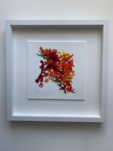 Framed glass art coral - art,