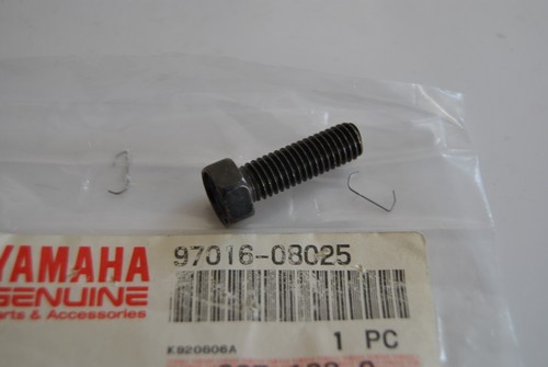 Exhaust muffler screw muffler