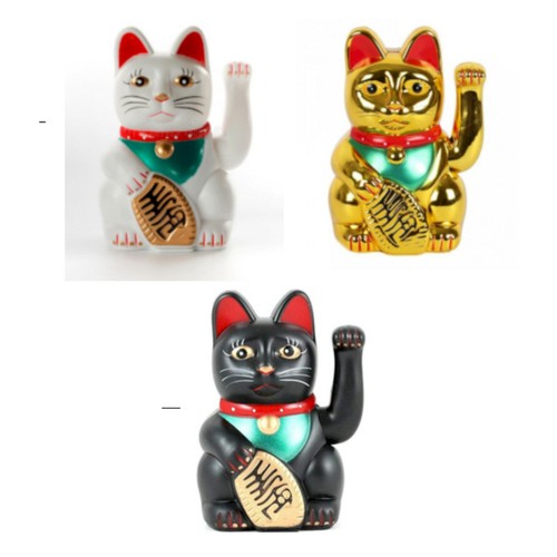 Chinese lucky fortune money - fortune,