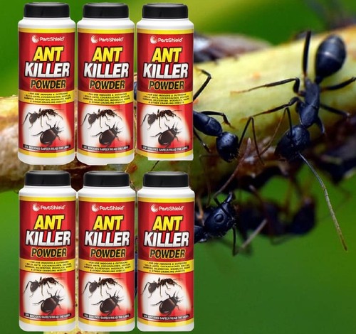 Ant killer powder crawling - 6,
