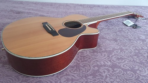Takamine eg540 dlx solid - takamine,