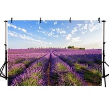 Purple Lavender Photography Backdrop Photo Background Wedding Party Occassion