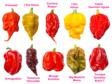 Worlds HOTTEST Chilli - Pick &