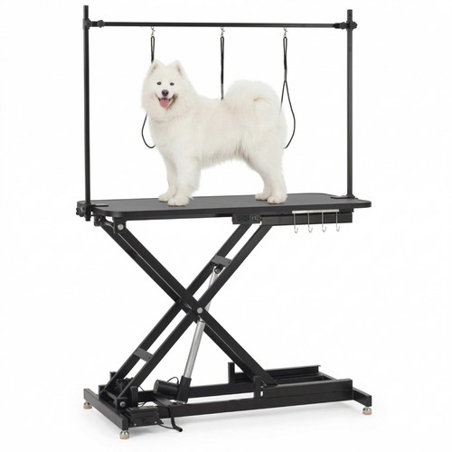 Electric dog grooming - dog,