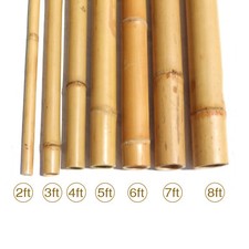 Bamboo Canes Garden Plant Flower Support Profesional Cane Stick Pole Thick Stake