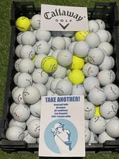 50 Callaway Warbird Golf