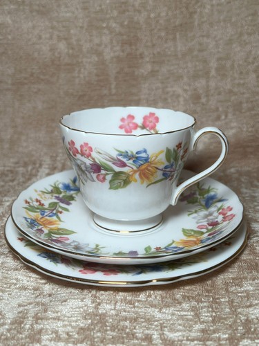 Shelley english bone - english, china