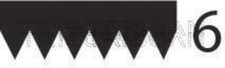 Black V-Ribbed Belt TRISCAN