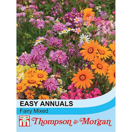 Easy annuals flower garden - annuals,
