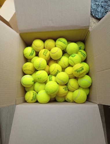 Used tennis balls - 50,