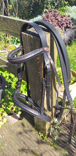 Shetland black pony - black, bridle