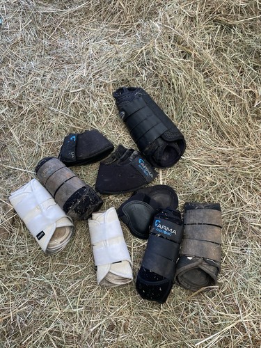 Equestrian job lot - lot, boots