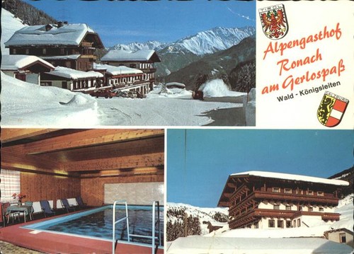 Forest pinzgau coat arms - pinzgau,