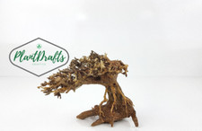 SPECIAL DISCOUNT! Nano