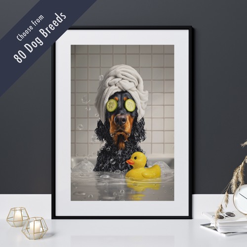 Funny dog bath - funny, –