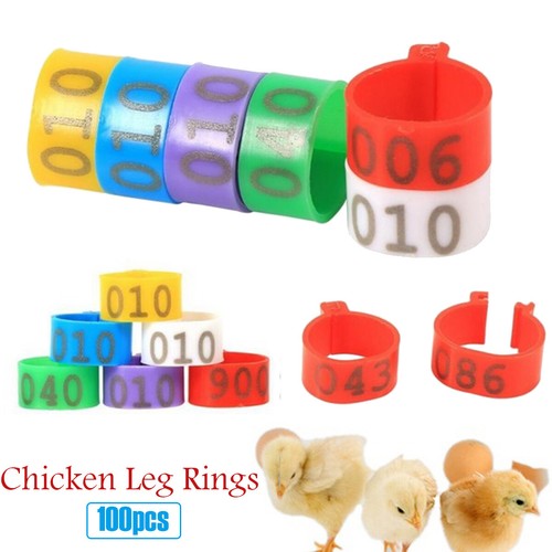 100pcs bird rings leg - bird,
