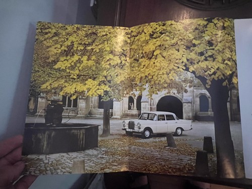 1965 mercedes benz 230 - mercedes,