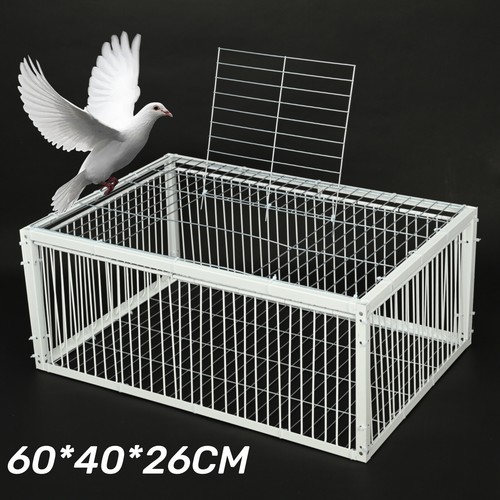 Foldable pigeon cage feral - pigeon,