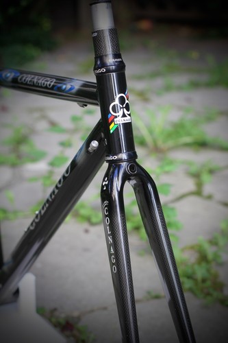 Vvgc colnago dream stay - colnago,