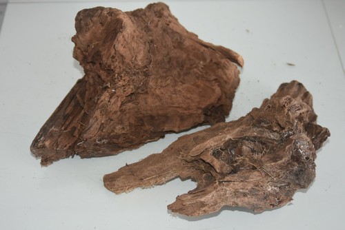 Real aquarium bog - aquarium, large