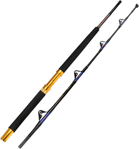 Saltwater fishing trolling rod - trolling,