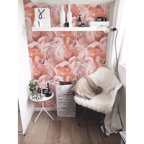 Flamingo bird tropical - flamingo,