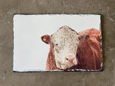 Hereford Bull Slate placemat