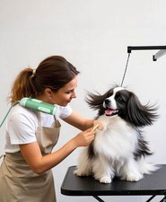 LandW BROS. Hands-Free Dog Dryer – Powerful and Professional Pet Blow Dryer