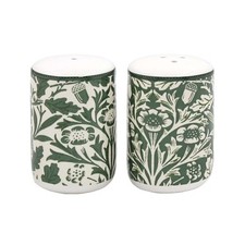 Salt pepper shaker set - salt,
