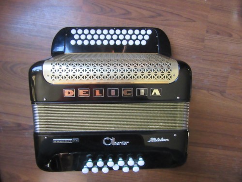 Black delicia diatonic button - black,