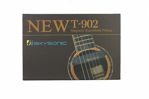 Skysonic acoustic guitar - skysonic,