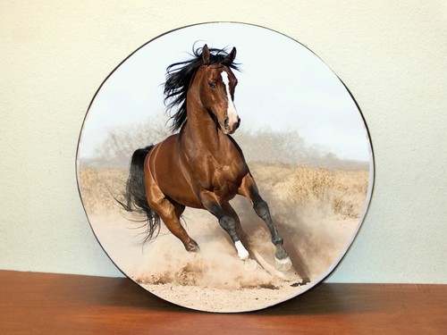 Horse wheel ture - ture, 28"