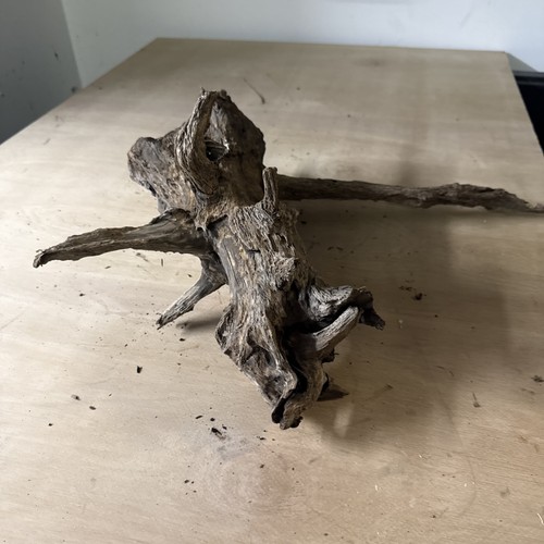 Aquarium wood fish - aquarium,