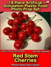 18 Piece Artificial Red Stem