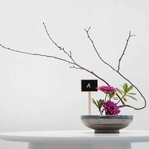 10pcs reusable wooden - 10pcs,