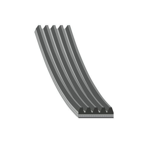Febi bilstein 28881 ribbed - febi,
