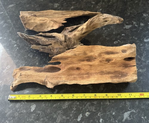 Fish tank bogwood aquarium - fish,