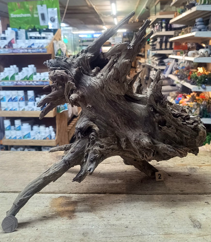 Large corbo root aquarium - large,