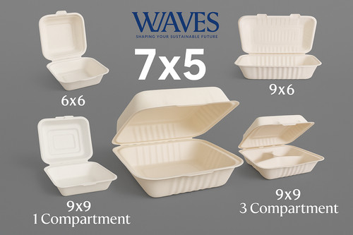 Bagasse biodegradable takeaway - bagasse,