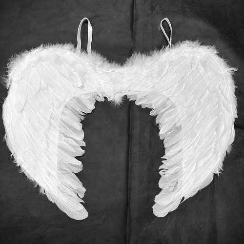 White feather angel wings - feather,